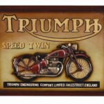 TRIUMPH SPEED T [...]